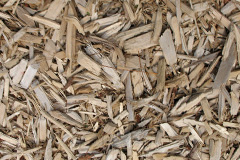 biomass boilers Garryduff