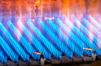 Garryduff gas fired boilers